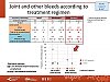Joint and other bleeds according to treatment regimen
