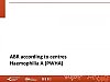 ABR according to centres Haemophilia A (PWHA)